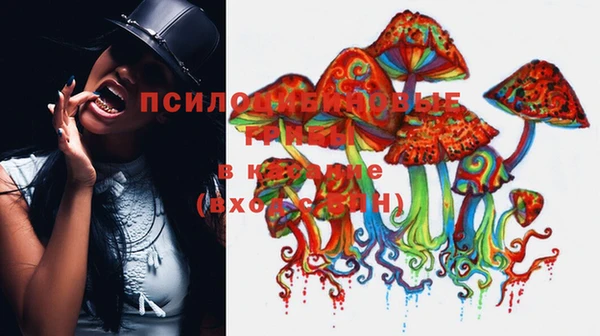 гидропоника Абинск