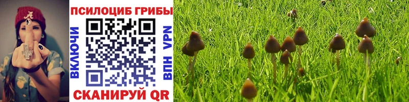 Псилоцибиновые грибы мицелий  Тырныауз 